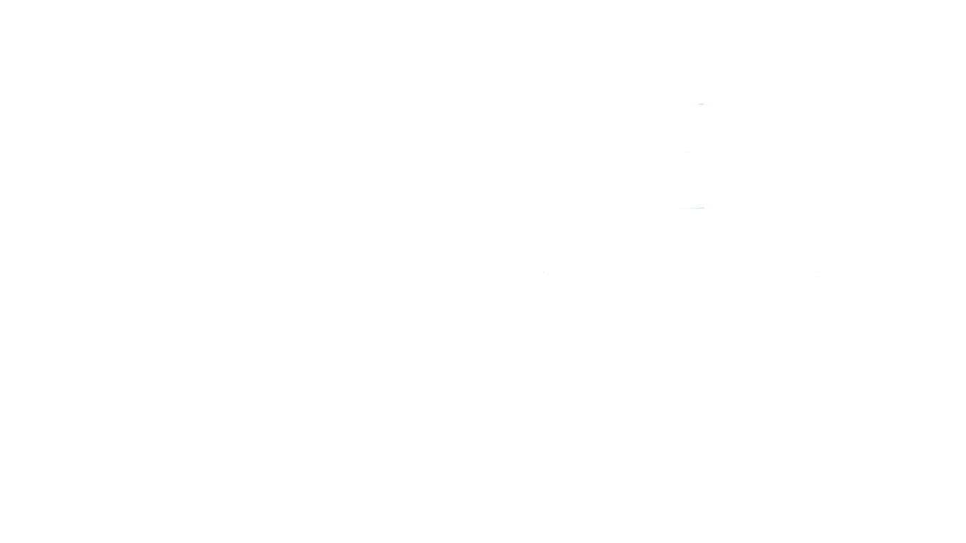 DANUBE POWER